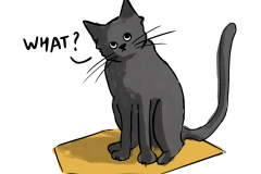 Badge cat saying 'What?'